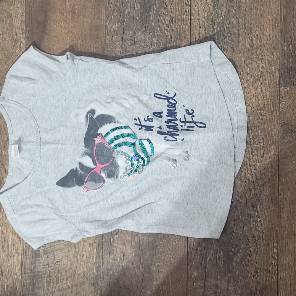 Dog shirt